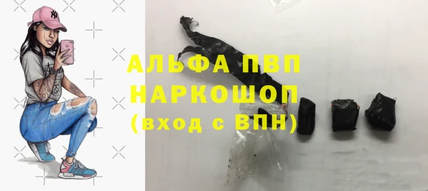 ГАЛЛЮЦИНОГЕННЫЕ ГРИБЫ Рославль