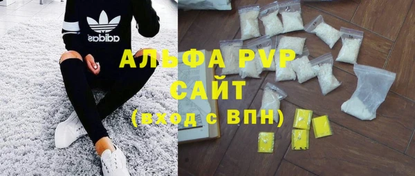 индика Протвино