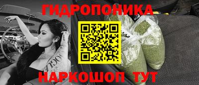 винт Гусь-Хрустальный